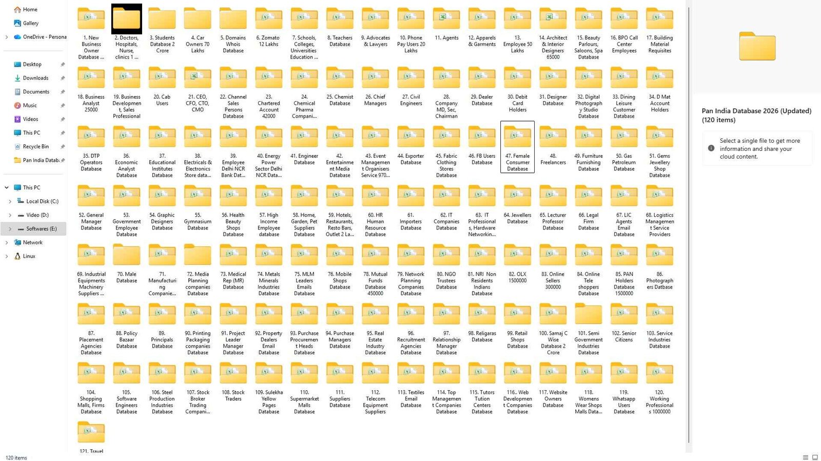 Organized Pan India Database Excel Sheet Screenshot 1